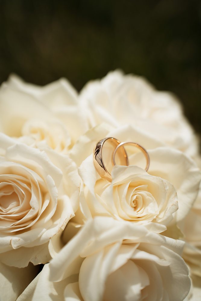 Eheringe – Hochzeit 1